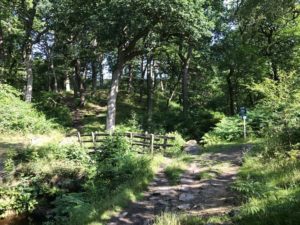 Hathersage via Stanage Edge and Higger Tor (12 miles) 2