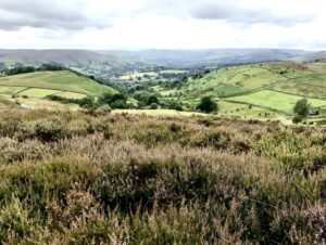 Hathersage via Stanage Edge and Higger Tor (12 miles) 4