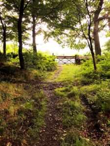 Hathersage via Stanage Edge and Higger Tor (12 miles) 6