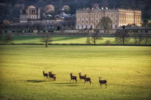 Chatsworth