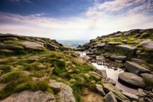 Kinder Downfall