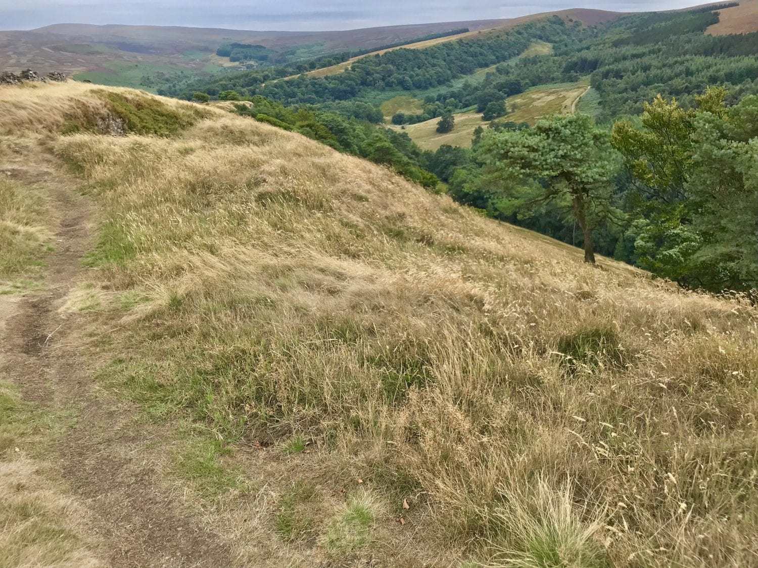 Foxlow Edge